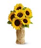 Arrangement og 6 Sunflowers