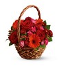 Basket of red roses, red gerberas and red carnations