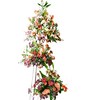 Stand arrangement of carnations, daisies, stargazers, orchids, and lush of greens