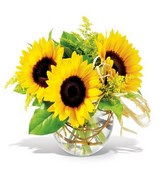 Sunflowers with Vase