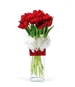 Red Tulips in Vase