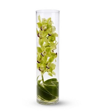 Green Cymbidium Orchid in a Glass Vase