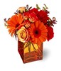 Floral arrangement of assorted blooms